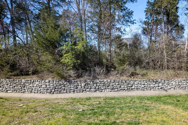 Stone retaining wall and wooded buffer behind the home